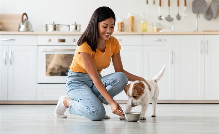 4 Reasons Why Ordering Dog Food Online Is Better