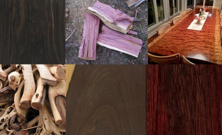9 Most Expensive Wood Species in the World