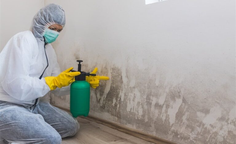 Mould Remediation Standards and Protocols: A Deep Dive into Industry Best Practices