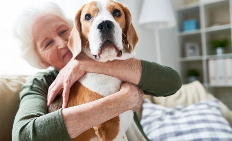 The Joyful Journey: Growing Old Gracefully with Your Aging Pet